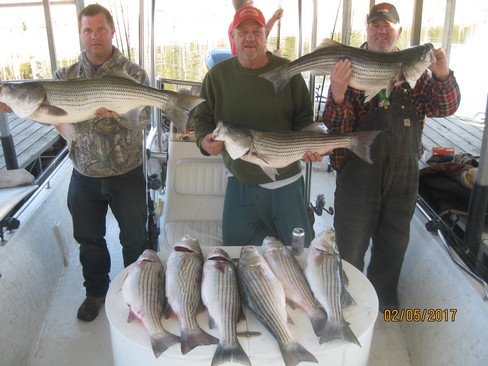 Nice Striped Bass
